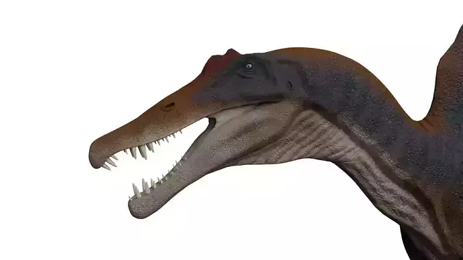 Spinosaurus aegyptiacus