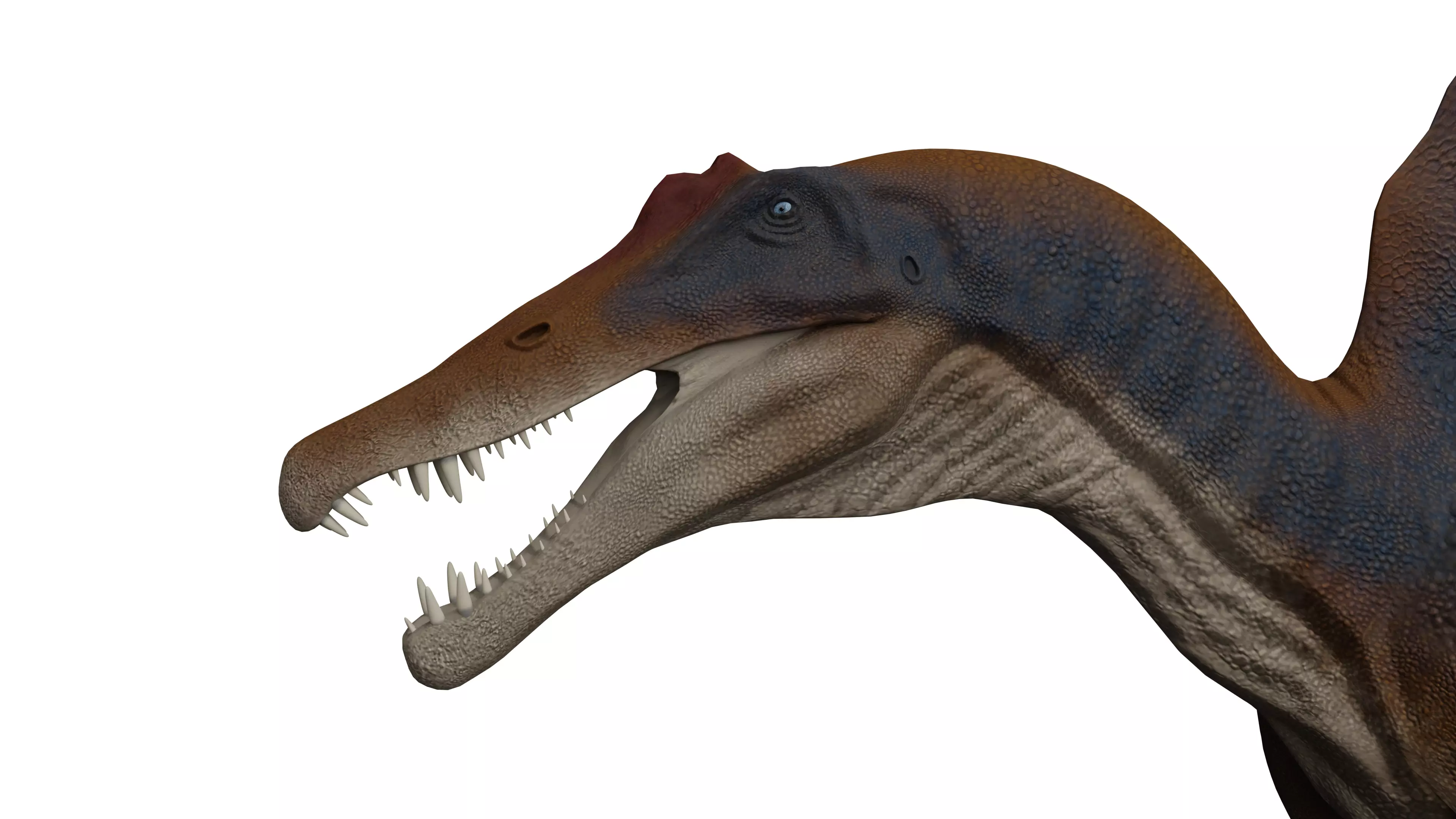 Spinosaurus aegyptiacus Low-poly 3D model_0