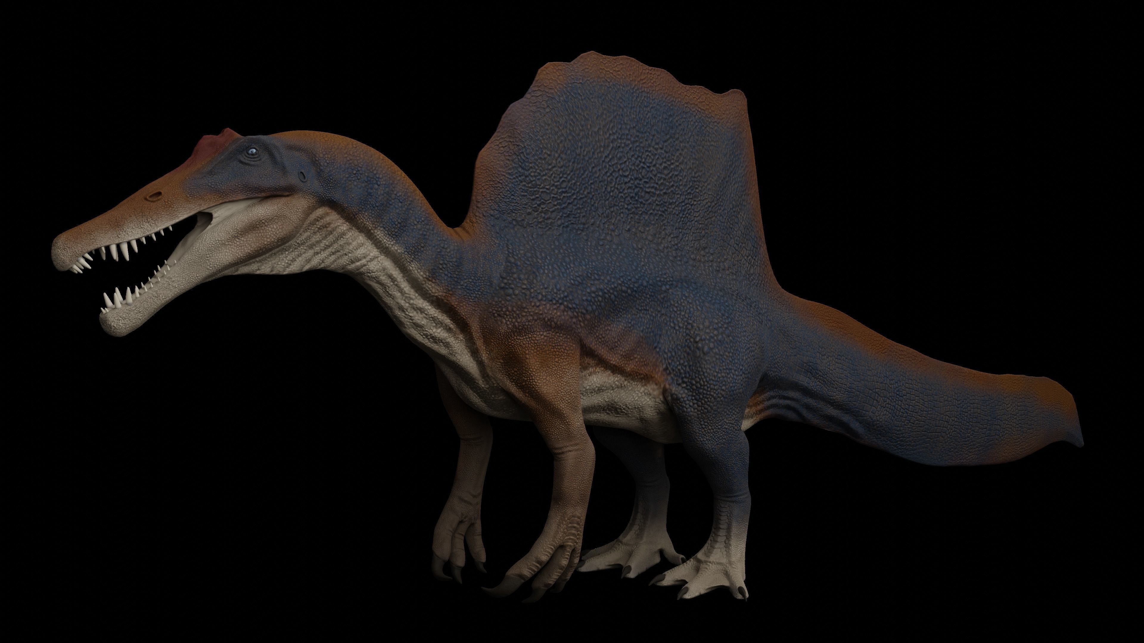 Spinosaurus aegyptiacus Low-poly 3D model_2