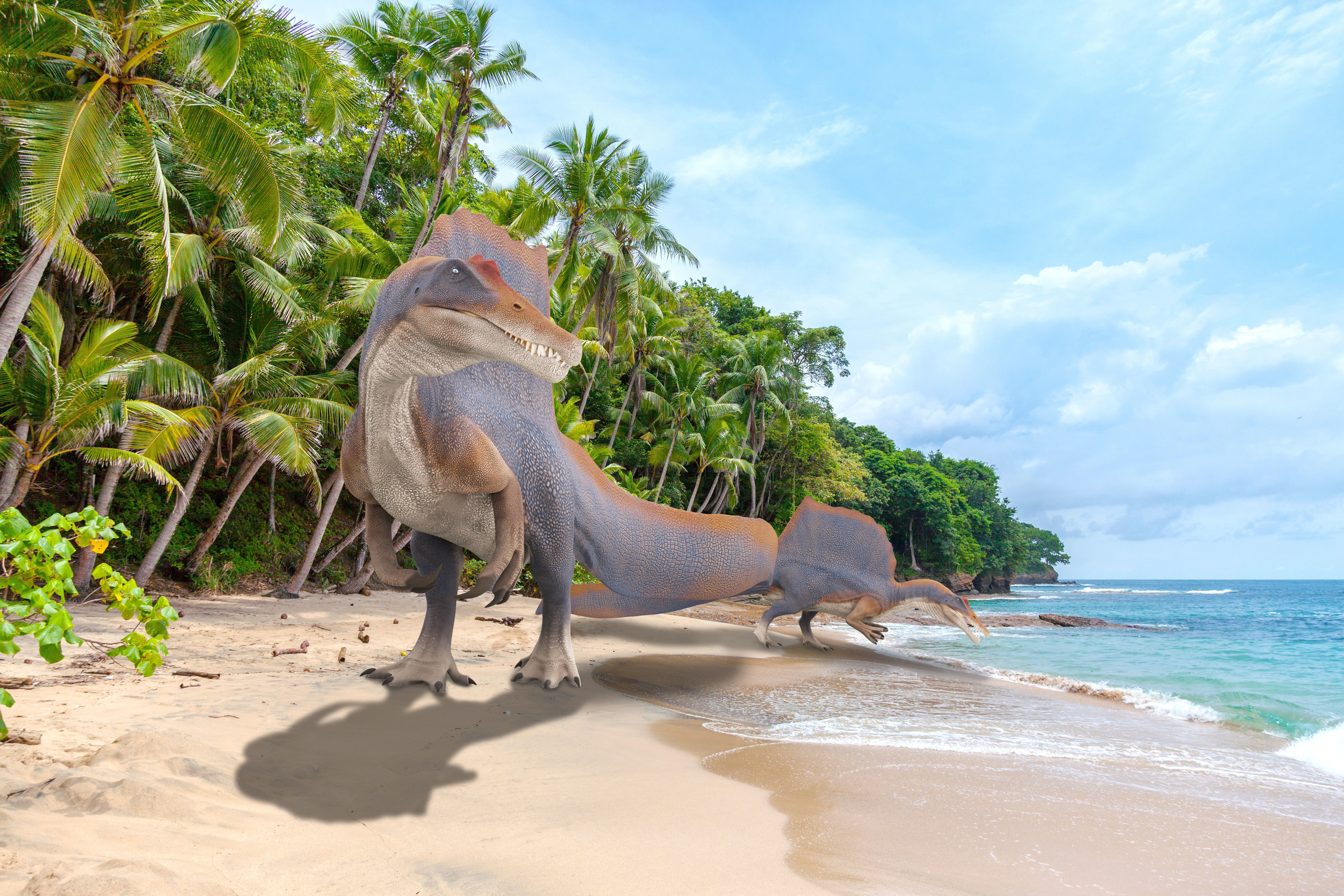 Spinosaurus aegyptiacus Low-poly 3D model_1