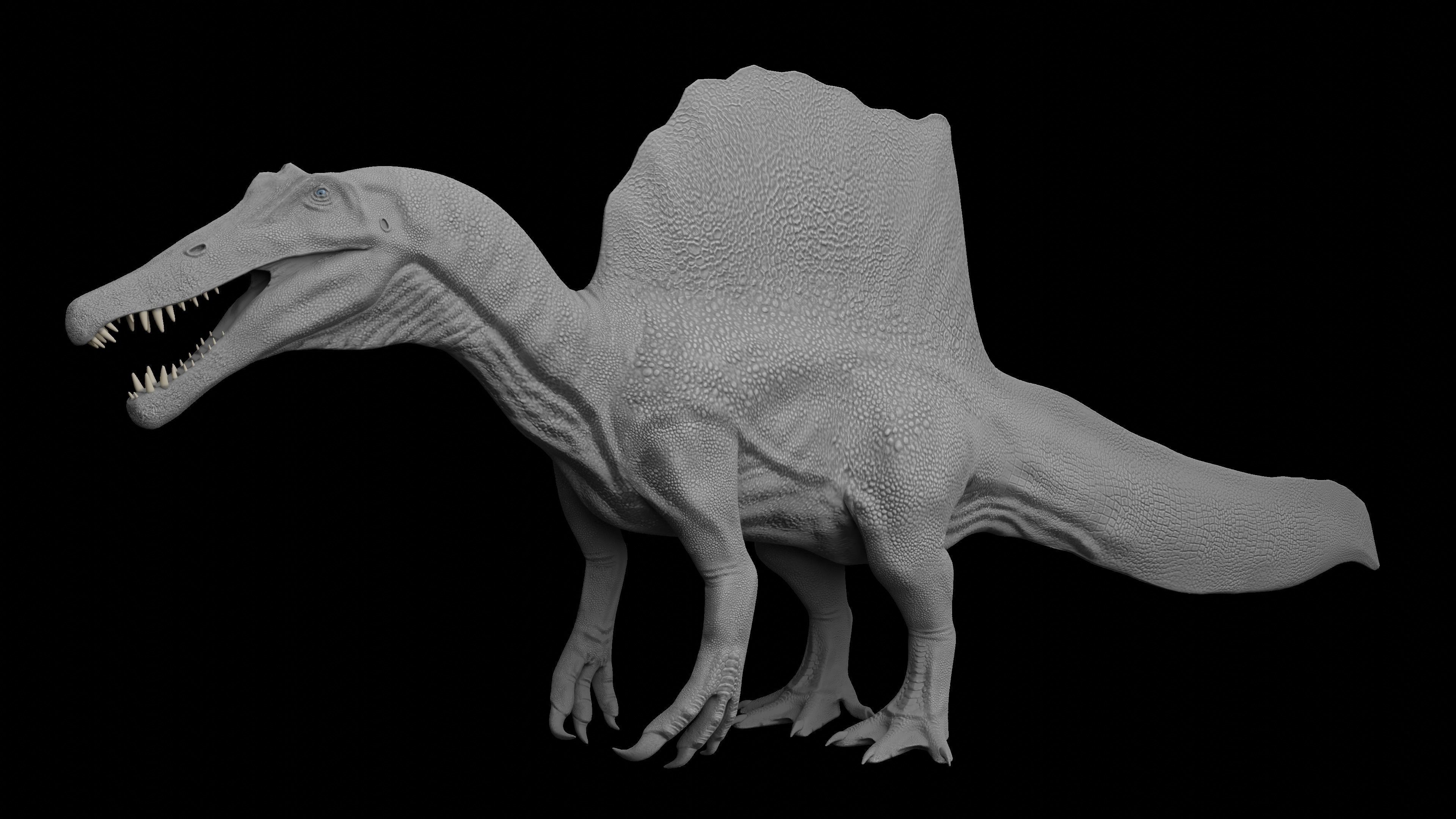 Spinosaurus aegyptiacus Low-poly 3D model_4