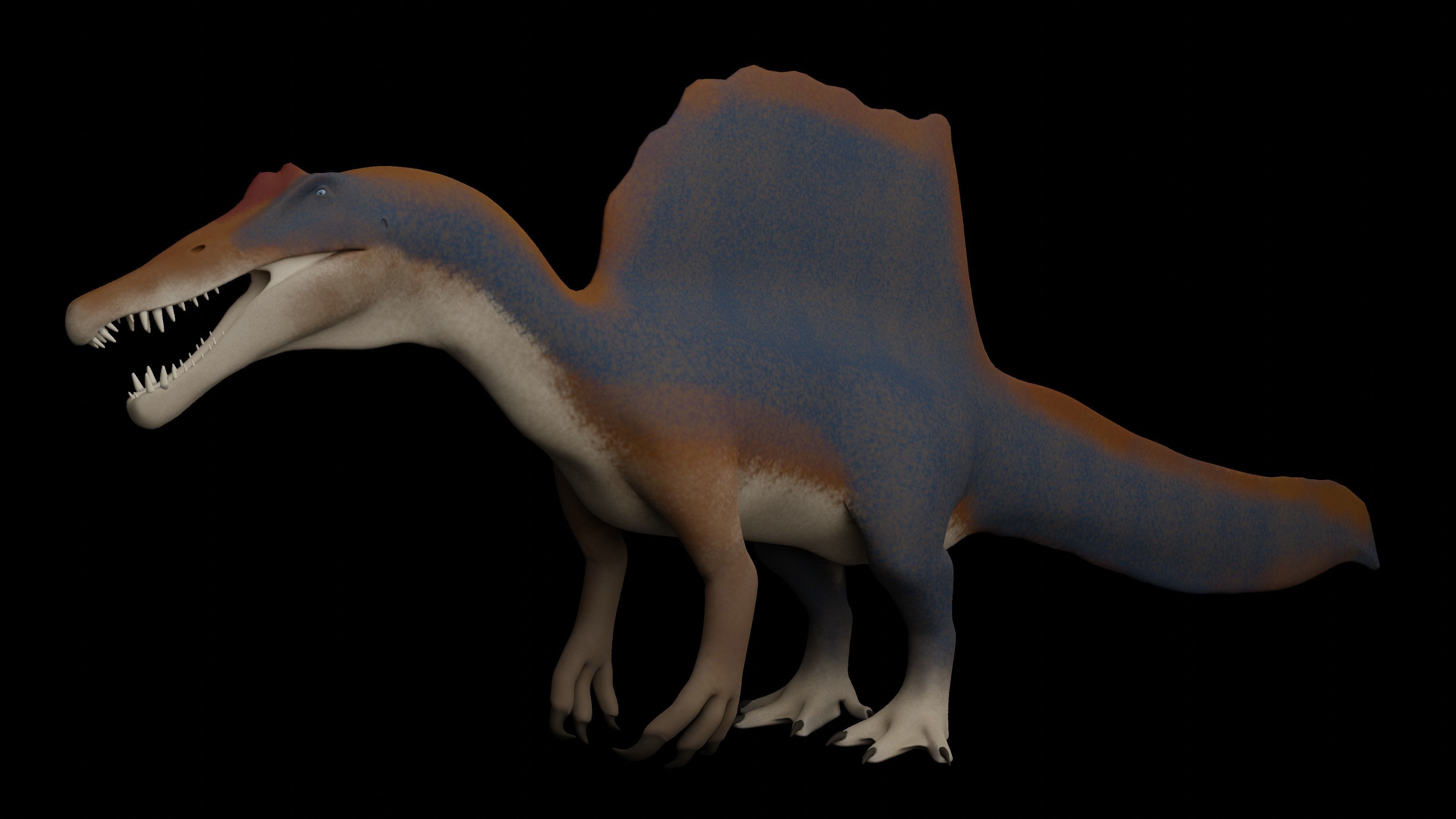 Spinosaurus aegyptiacus Low-poly 3D model_3