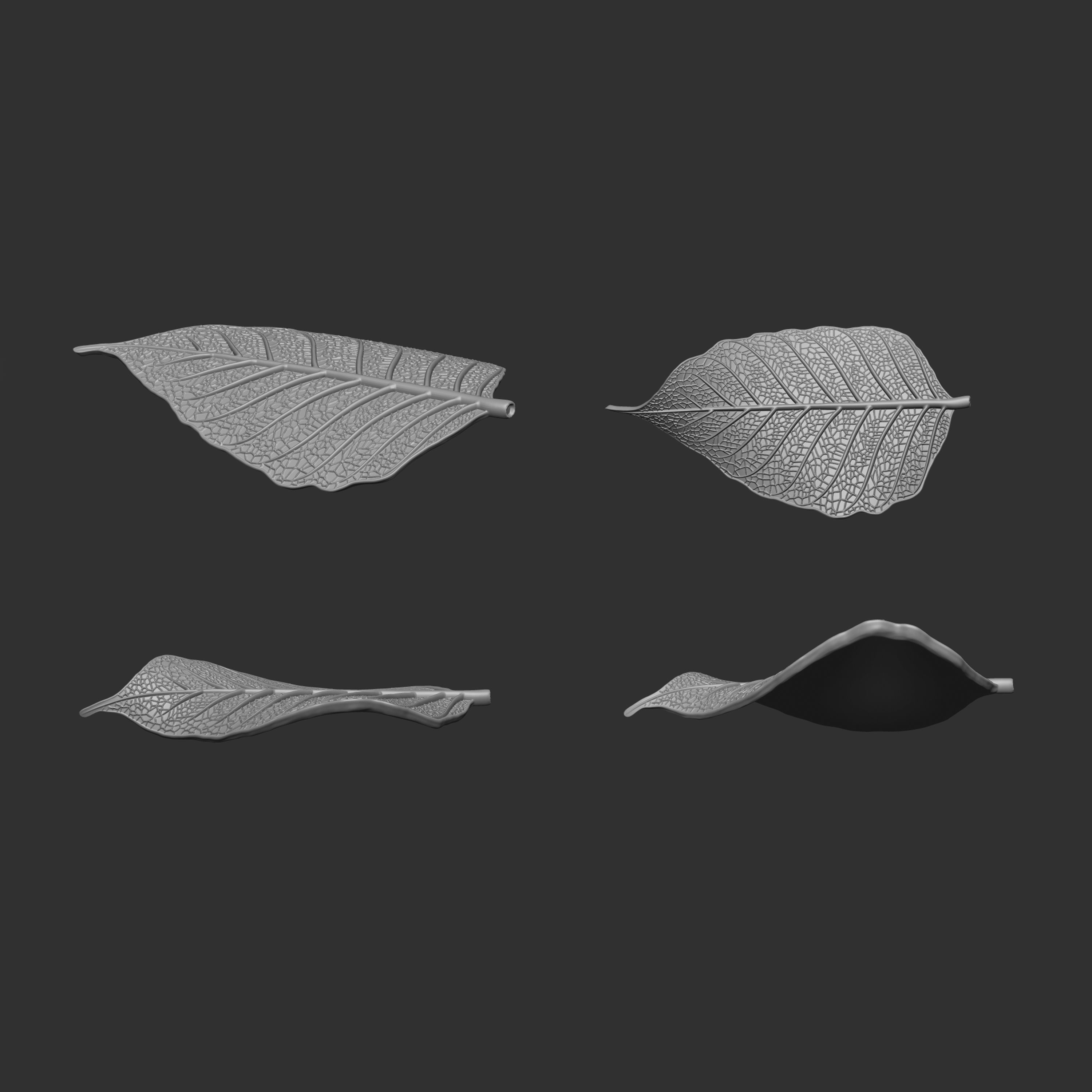 Leaf with vein 3D print model_4
