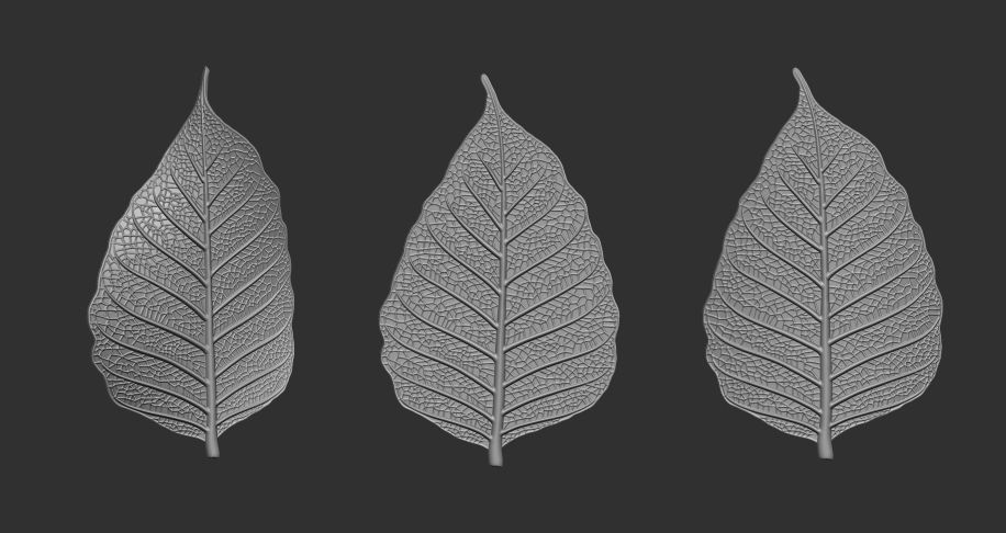 Leaf with vein 3D print model_1