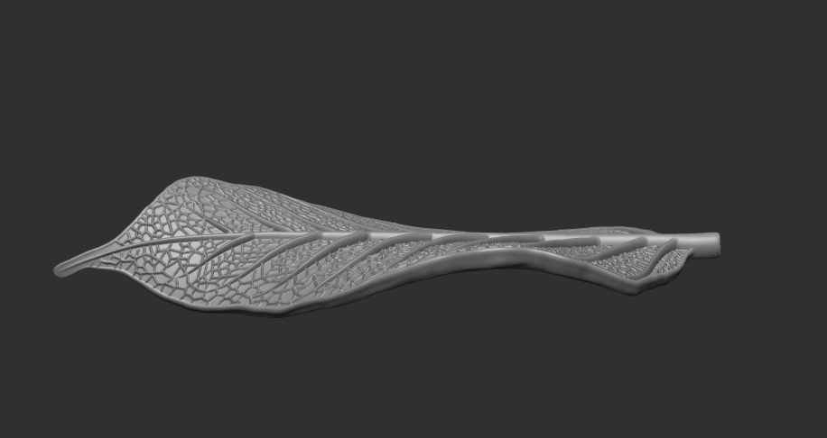 Leaf with vein 3D print model_11