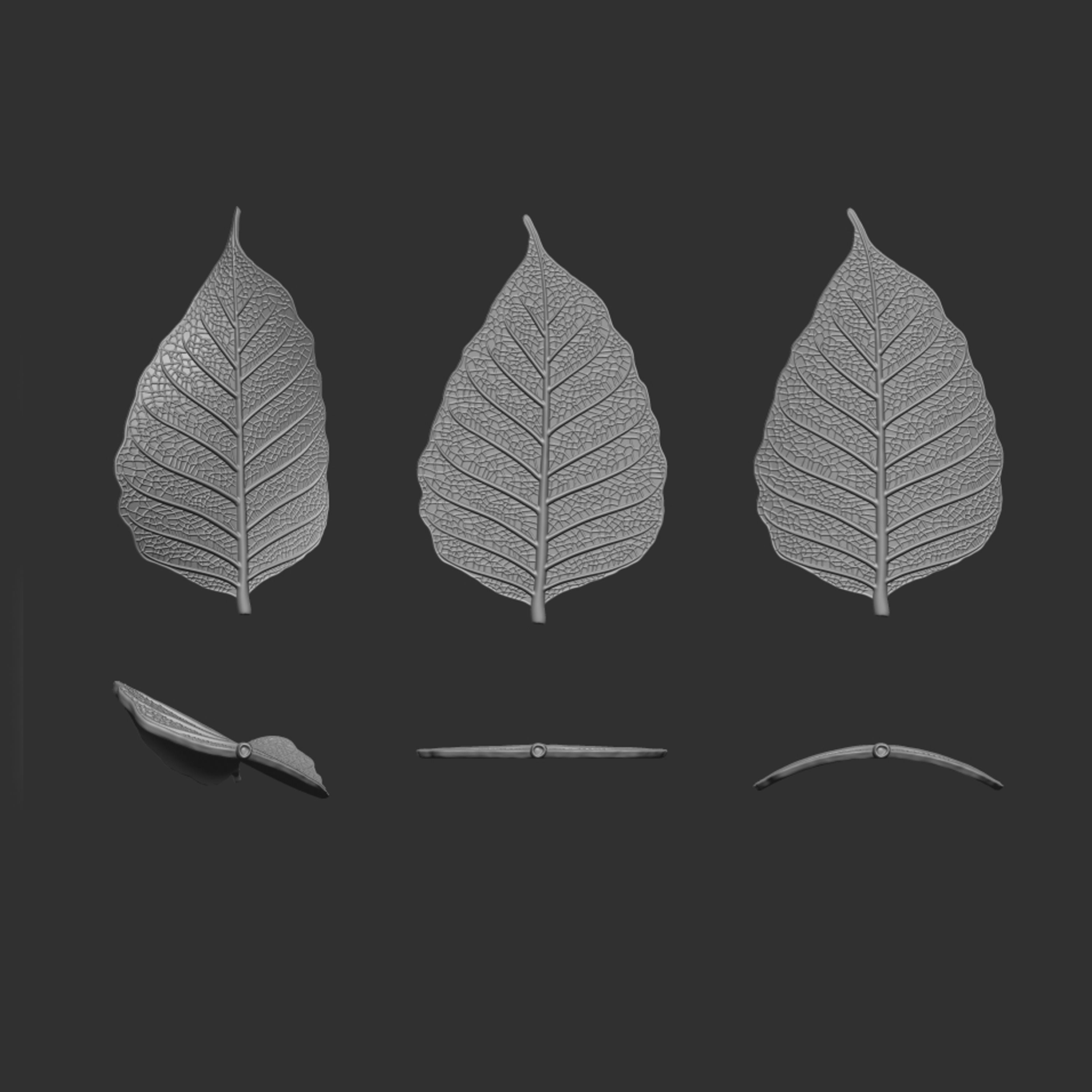 Leaf with vein 3D print model_5