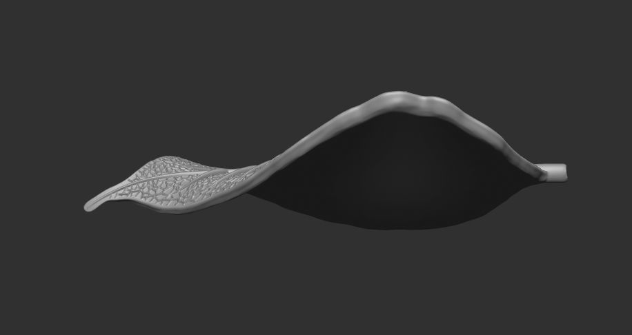 Leaf with vein 3D print model_12