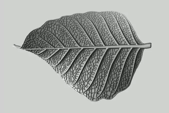 Leaf with vein 3D print model