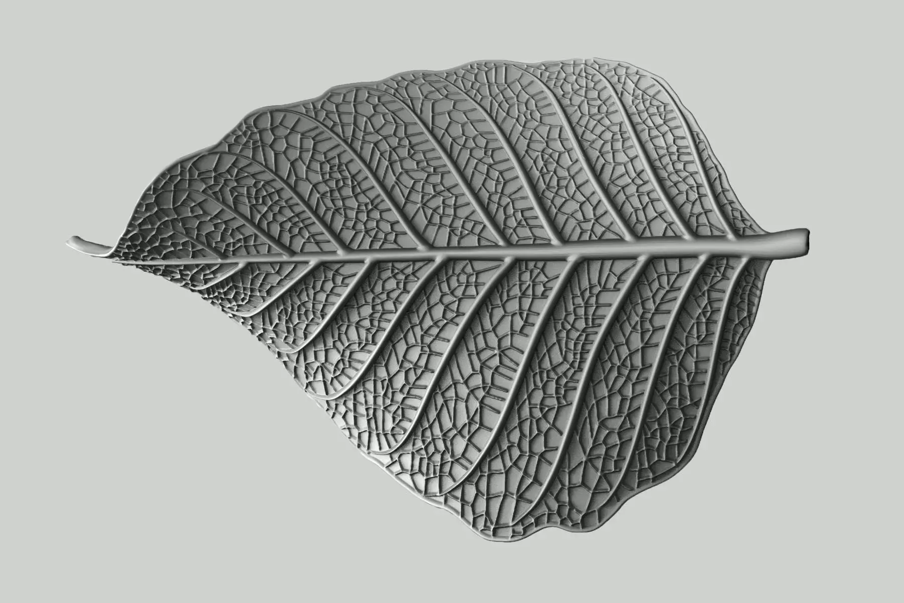Leaf with vein 3D print model_0