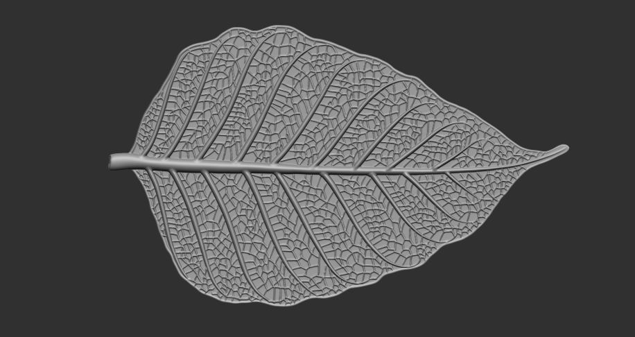 Leaf with vein 3D print model_9