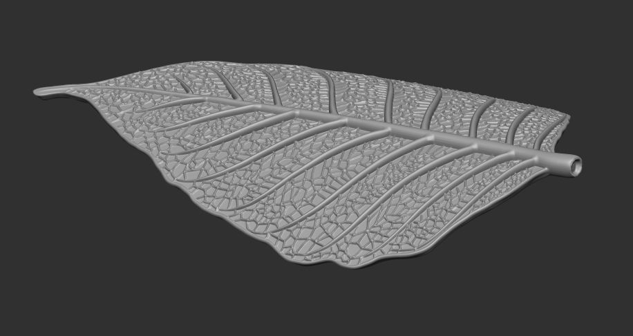 Leaf with vein 3D print model_10