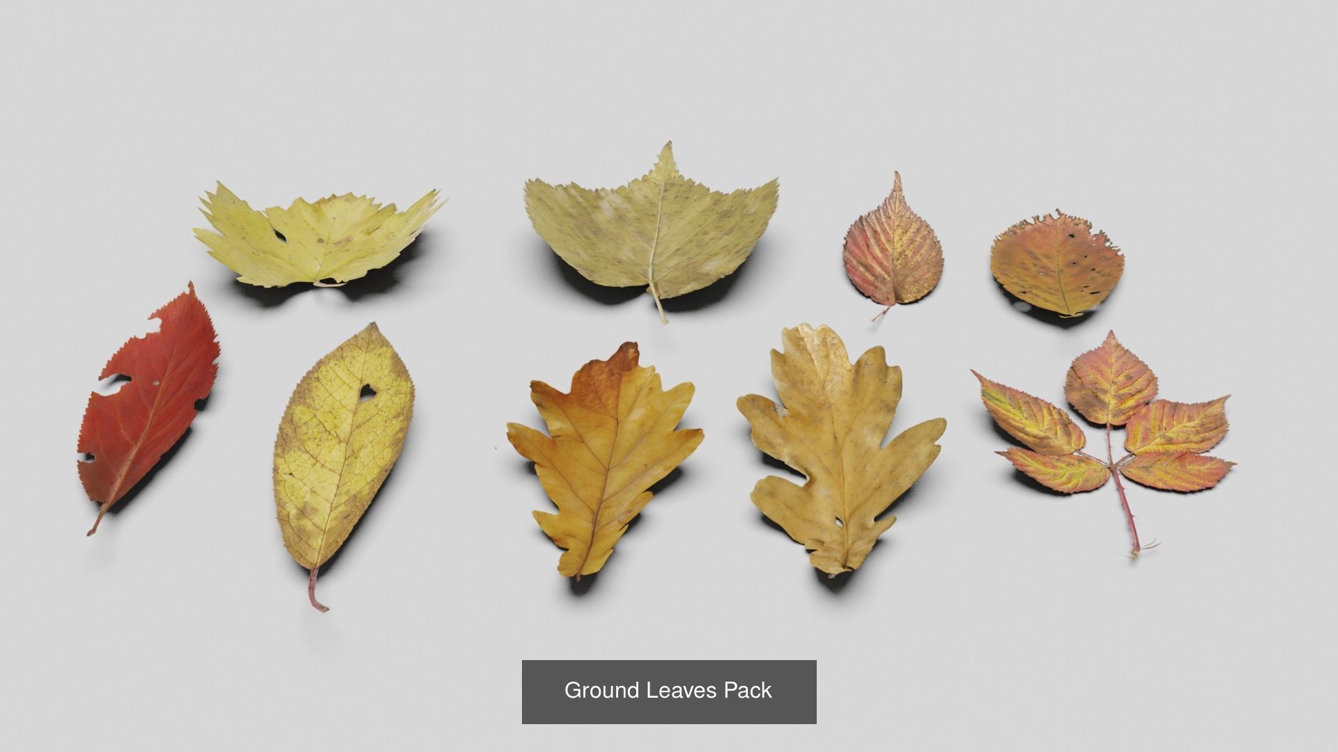 Landscape foliage and rock collection _7