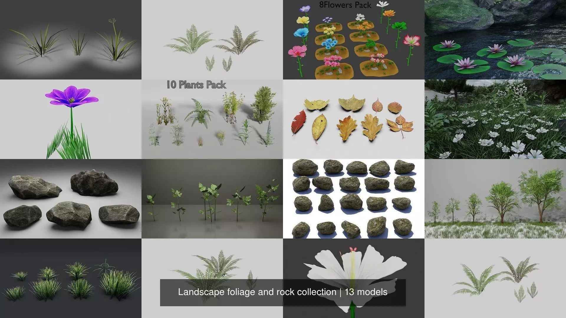 Landscape foliage and rock collection _0