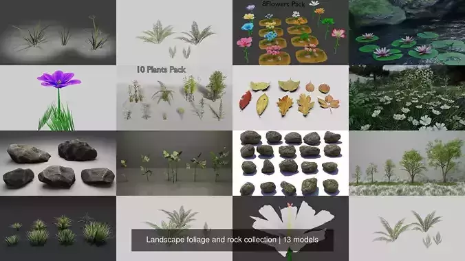 Landscape foliage and rock collection 