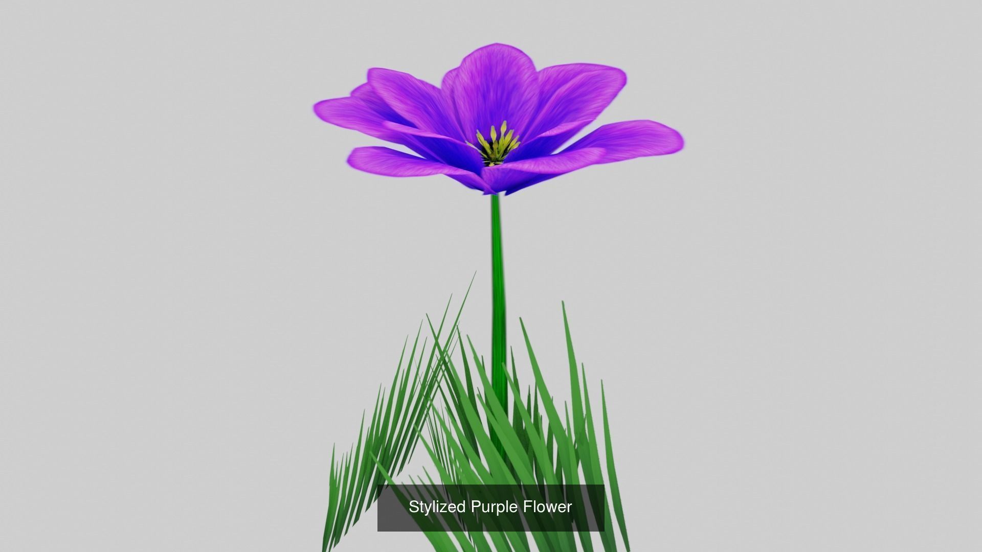 Landscape foliage and rock collection _15