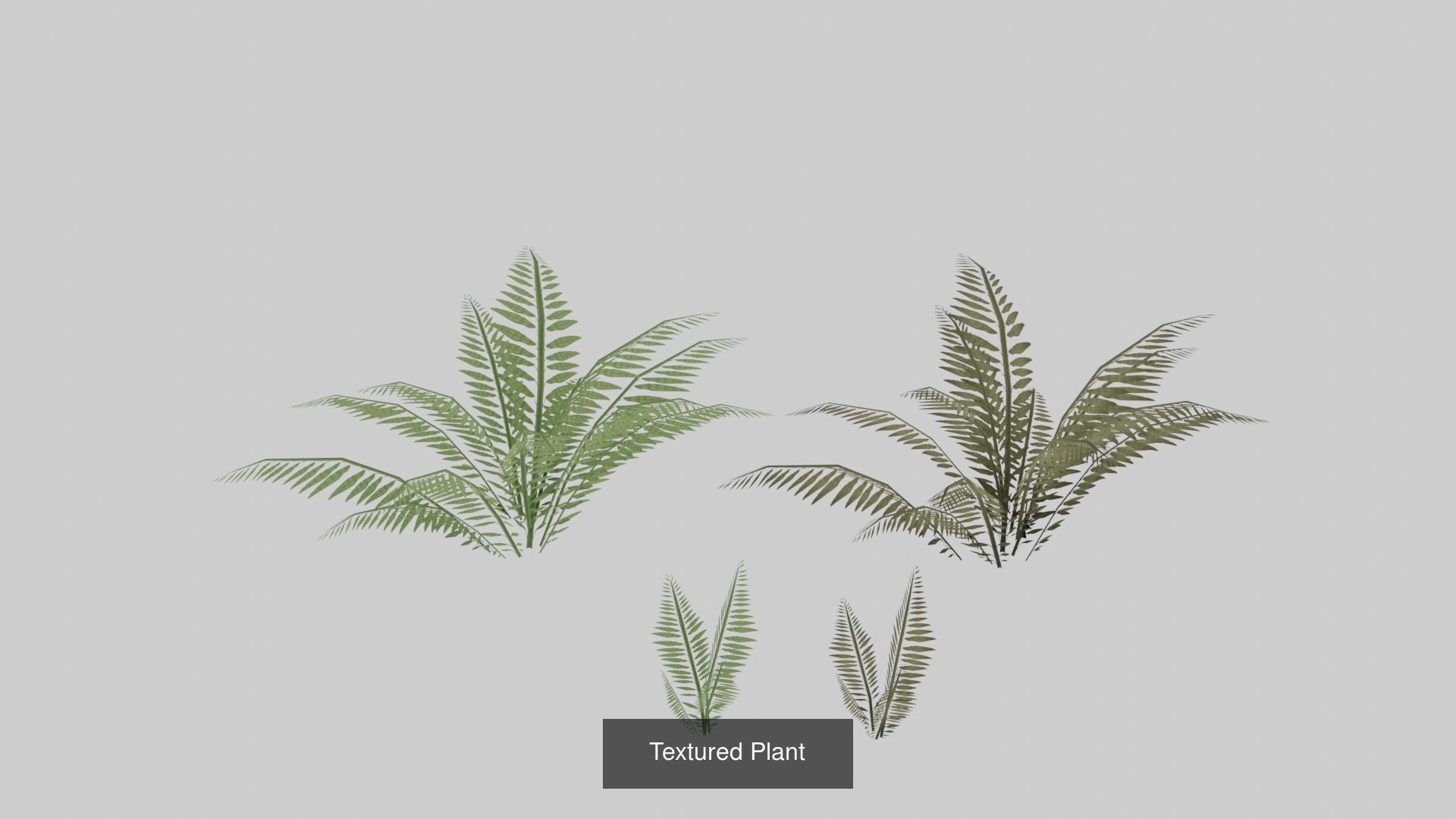 Landscape foliage and rock collection _14