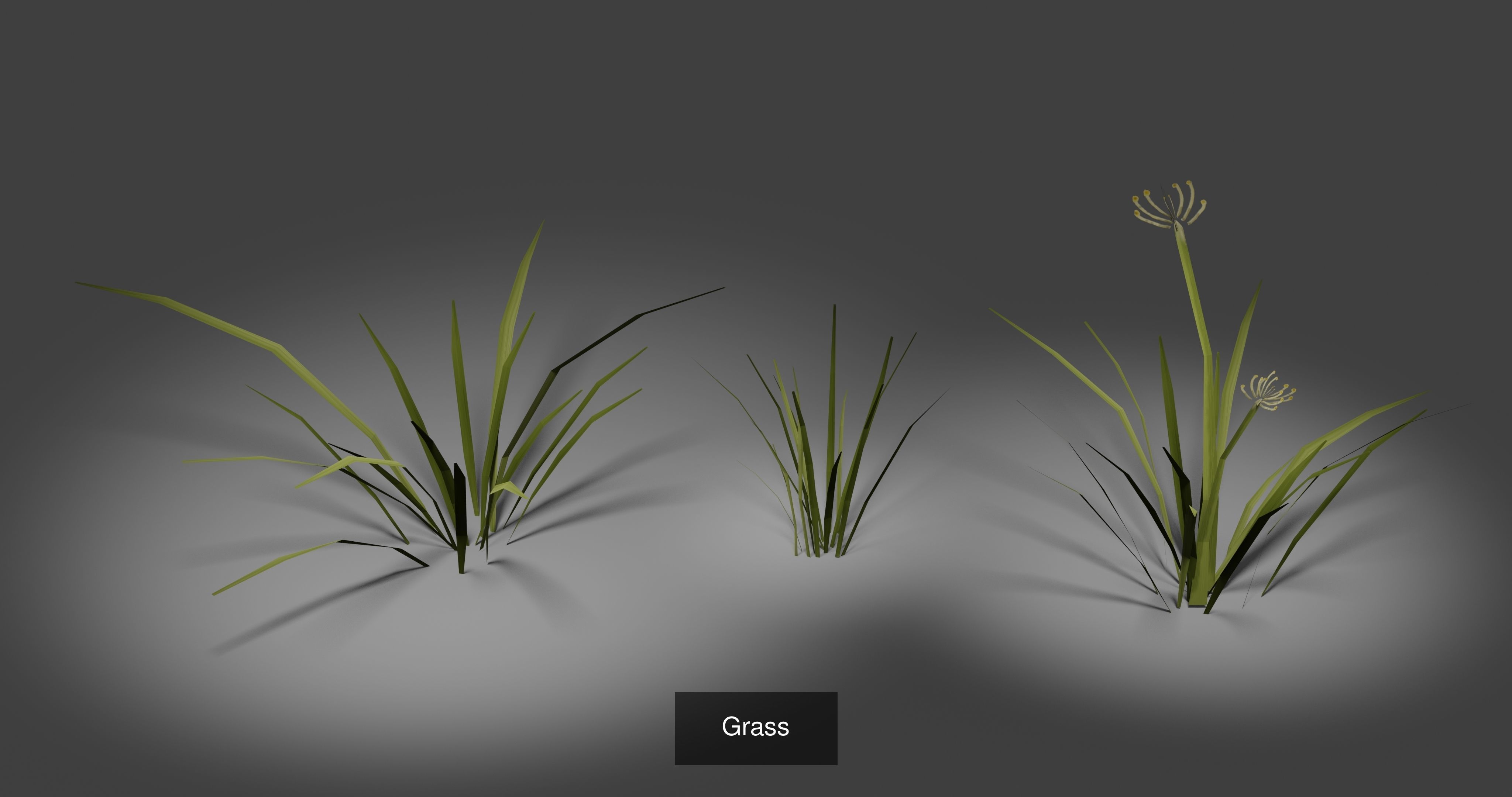 Landscape foliage and rock collection _13