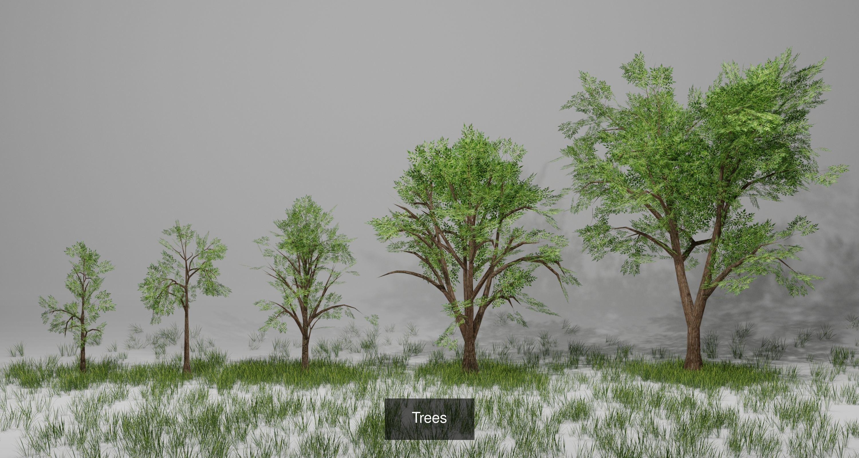 Landscape foliage and rock collection _11