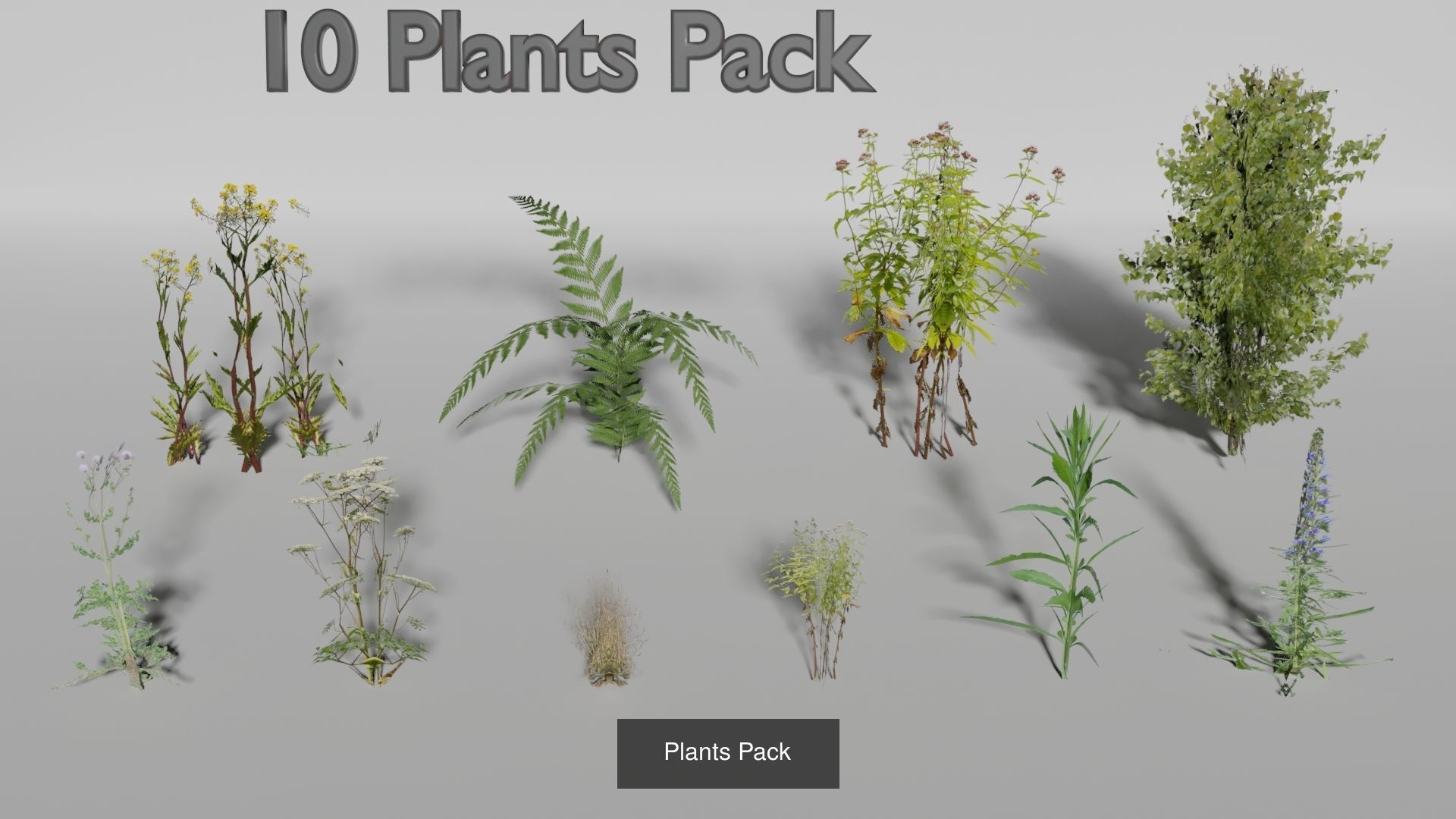 Landscape foliage and rock collection _4