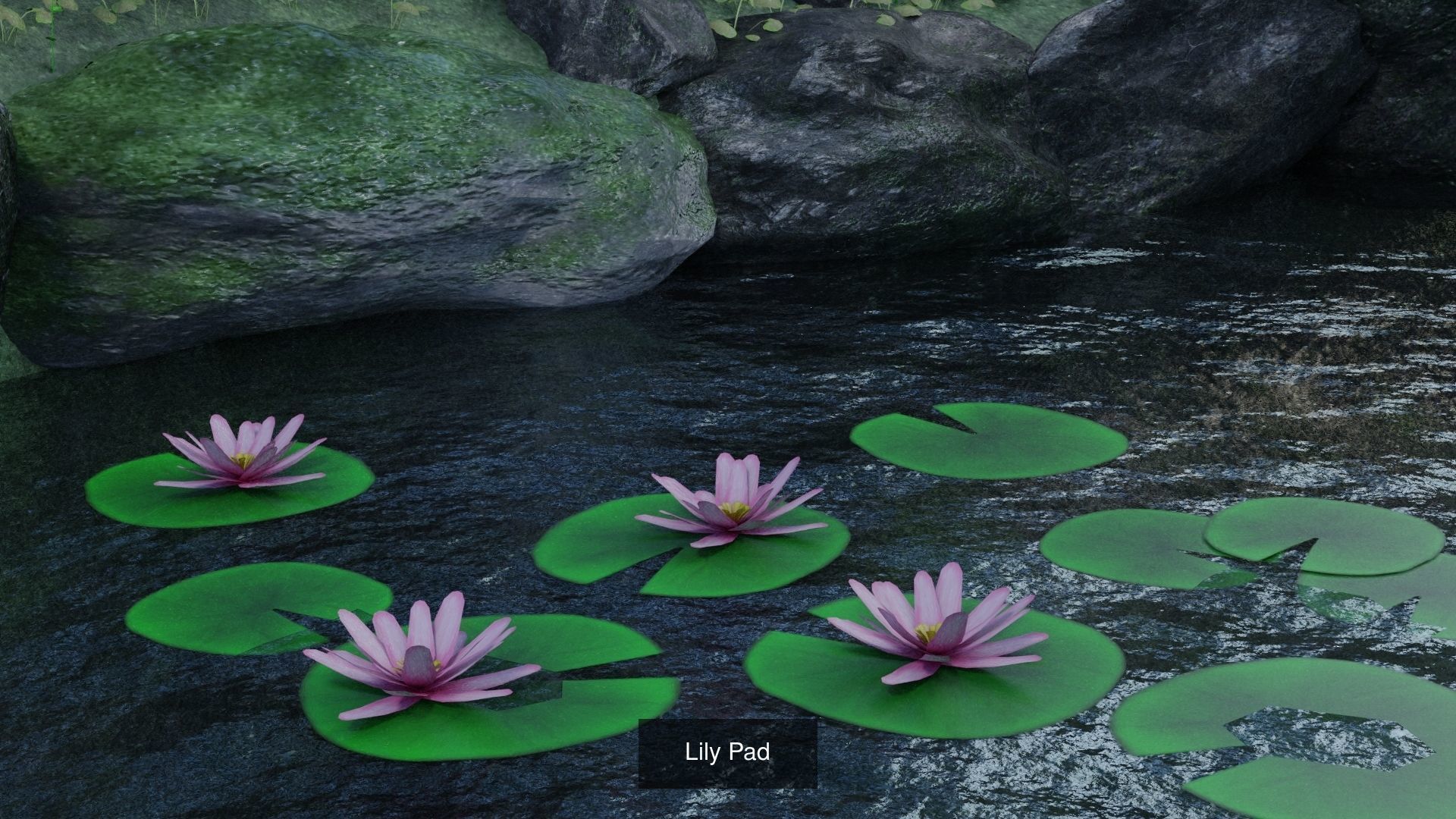 Landscape foliage and rock collection _12