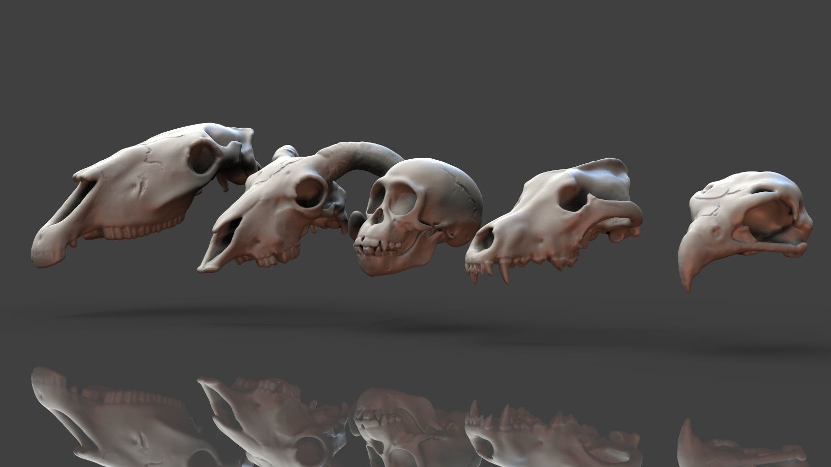 Skulls- Animal skulls terrain 3D print model_1