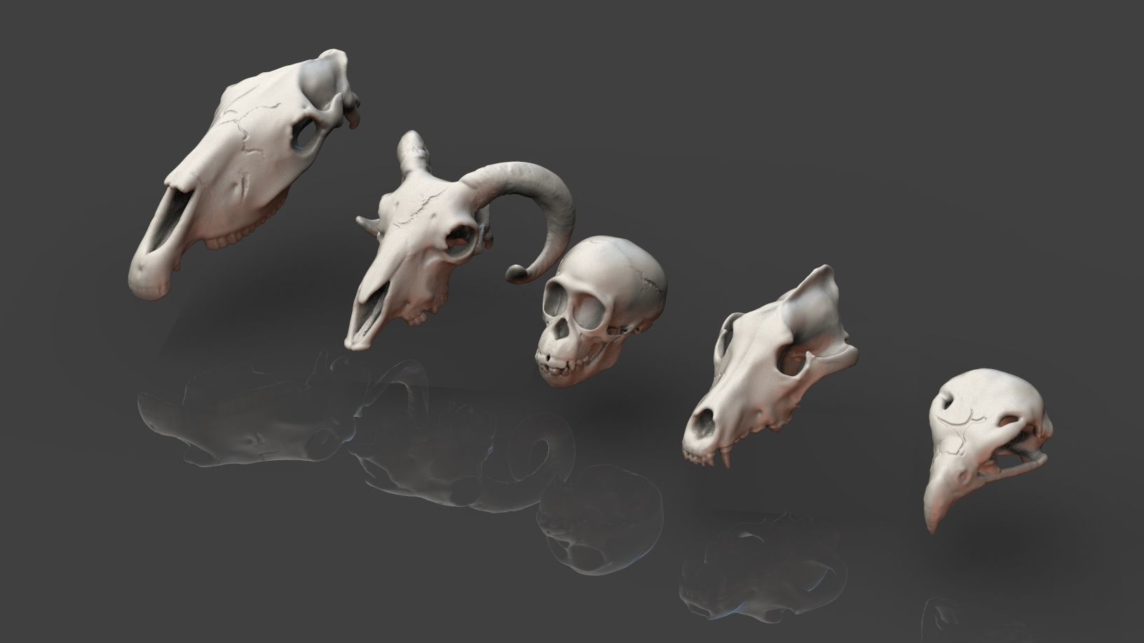 Skulls- Animal skulls terrain 3D print model_3