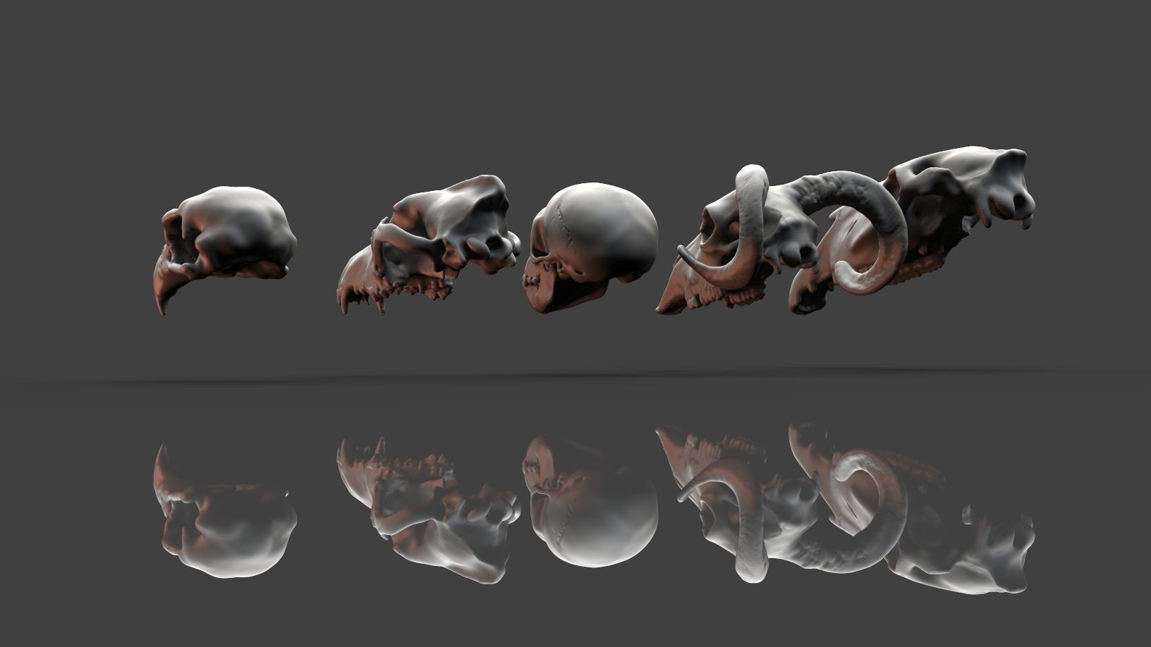 Skulls- Animal skulls terrain 3D print model_2