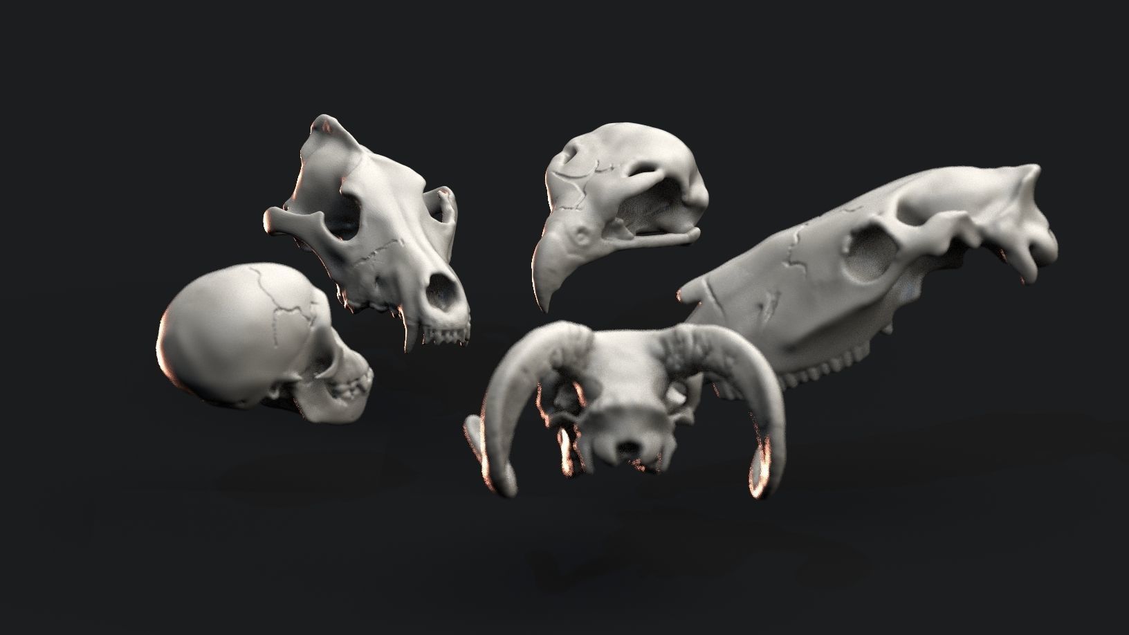 Skulls- Animal skulls terrain 3D print model_7