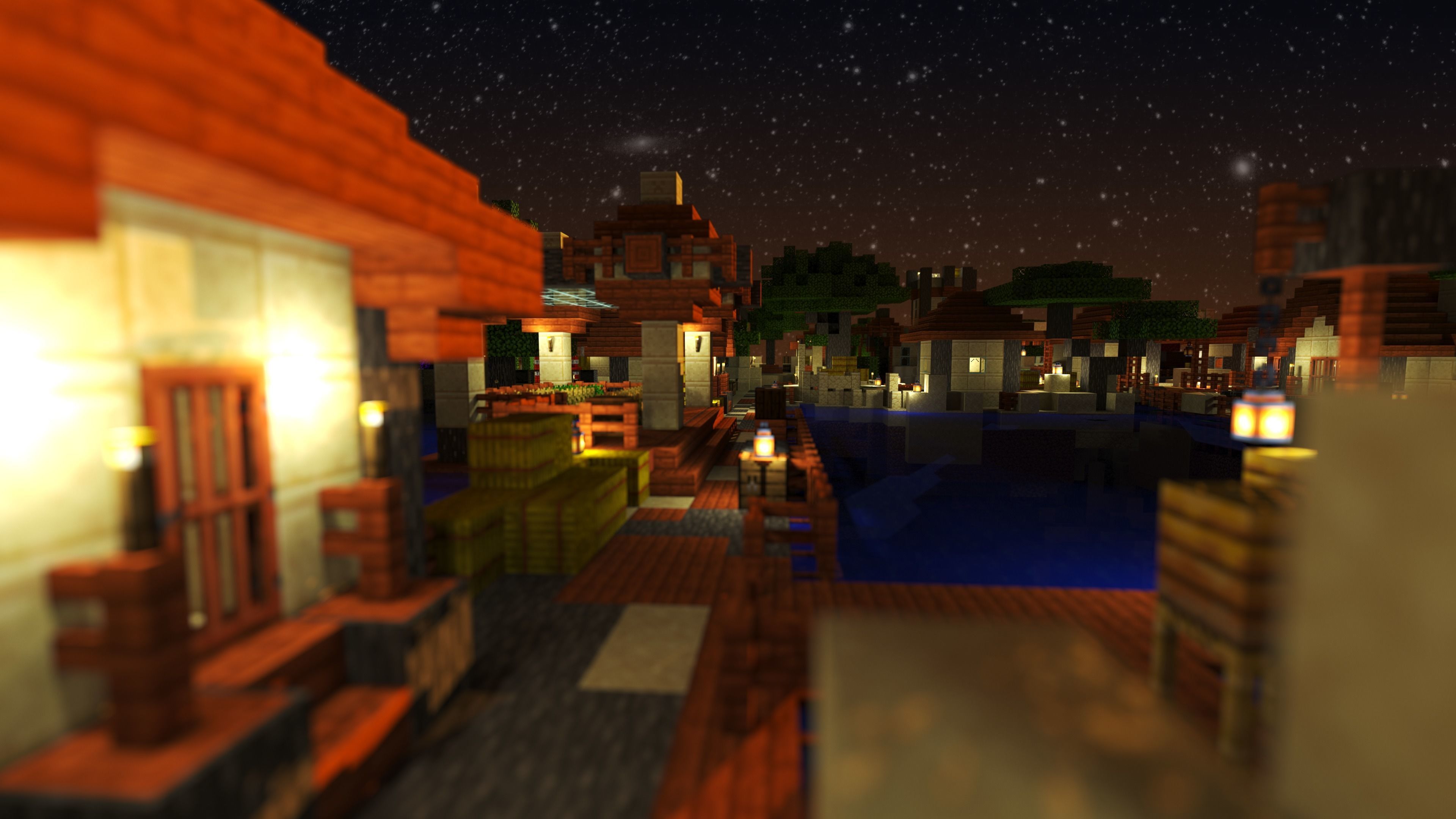 Magical Minecraft Village 3D model_12