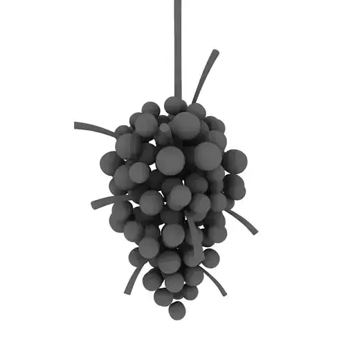 Fruit cluster 3D model