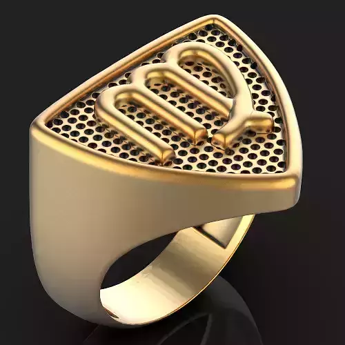 Zodiac Virgo ring Silver Gold  Print
