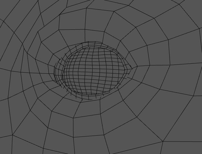 Beluga Whale 3D Model Demo - Rigged - PBR Low-poly 3D model_7