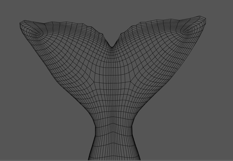 Beluga Whale 3D Model Demo - Rigged - PBR Low-poly 3D model_12