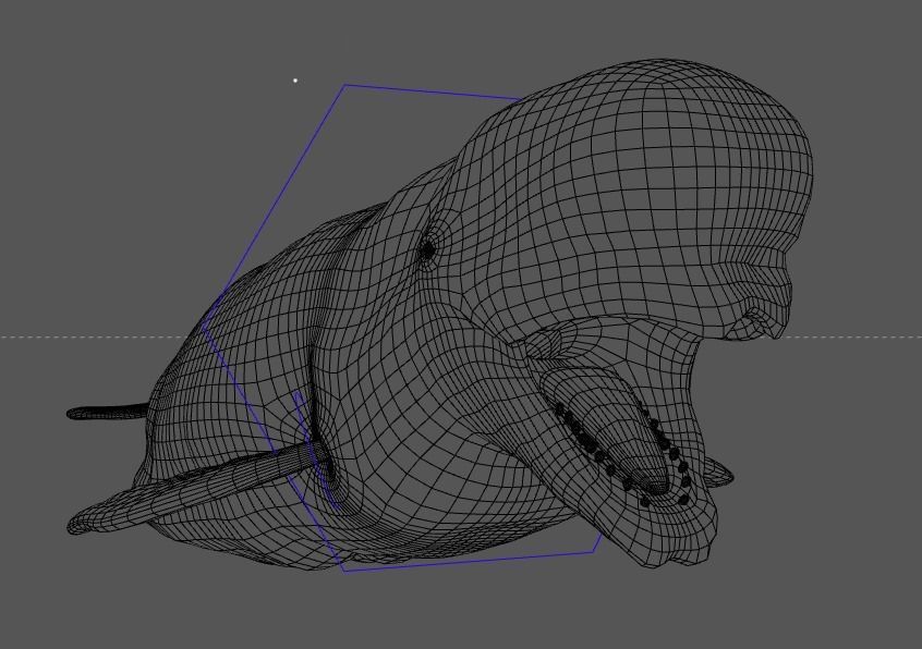 Beluga Whale 3D Model Demo - Rigged - PBR Low-poly 3D model_8
