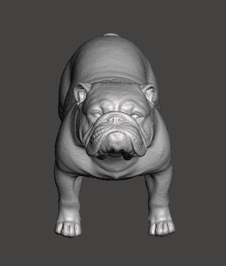 English Bulldog 3D Model 3D print model_1