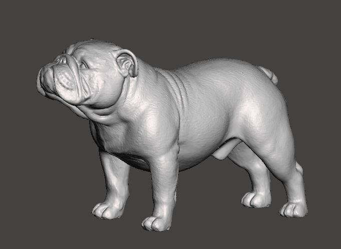 English Bulldog 3D Model 3D print model_8