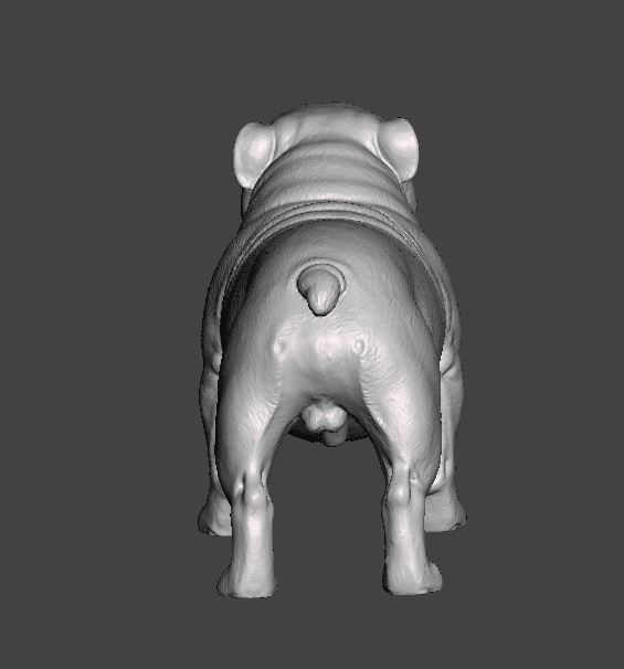 English Bulldog 3D Model 3D print model_7