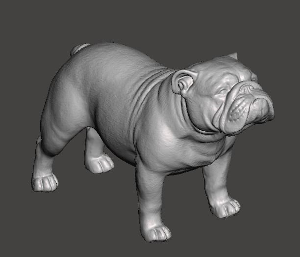 English Bulldog 3D Model 3D print model_2