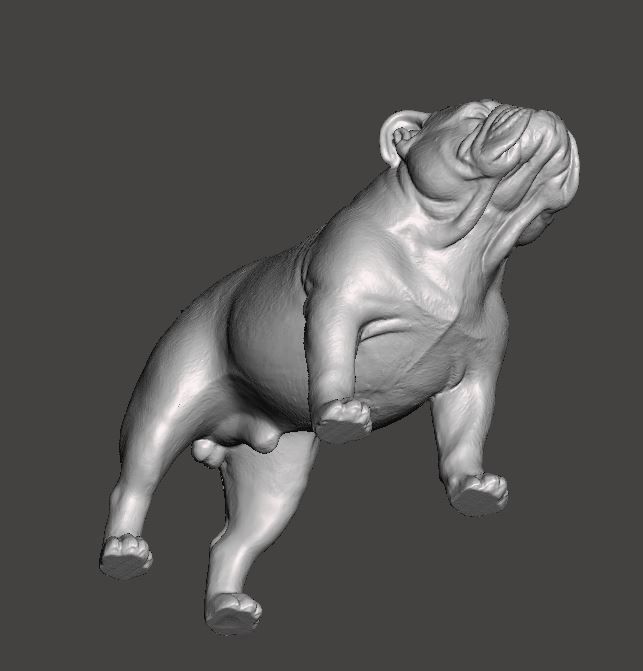 English Bulldog 3D Model 3D print model_5
