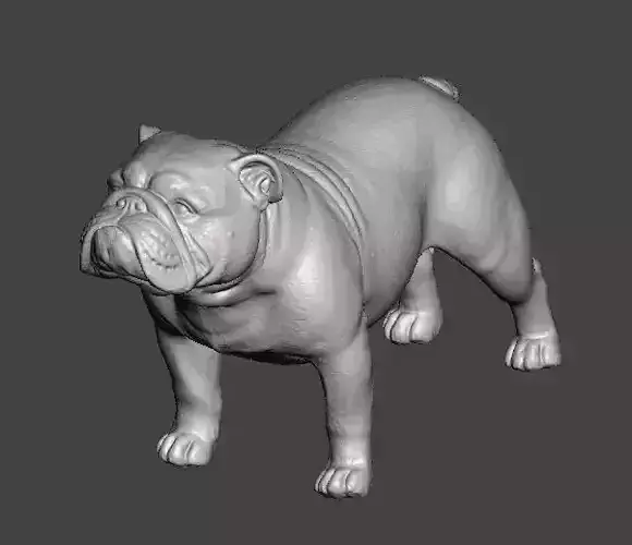 English Bulldog 3D Model 3D print model