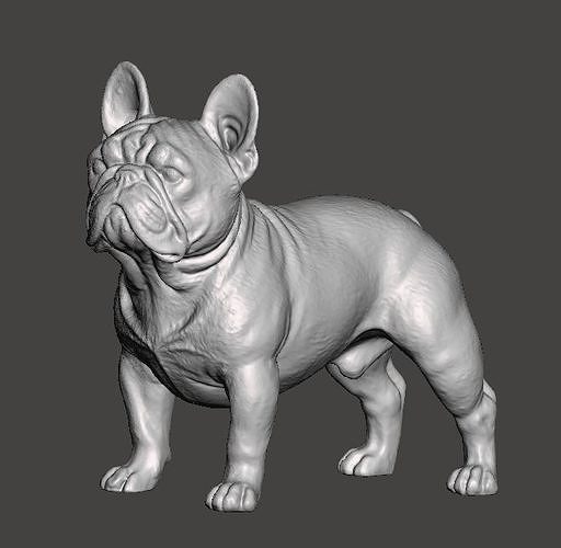 French Bulldog 3D Model 3D print model