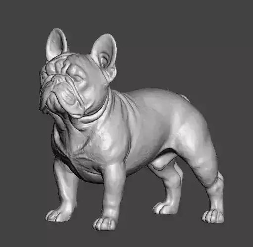 French Bulldog 3D Model 3D print model