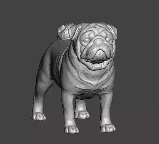 Pug Dog  3D print model