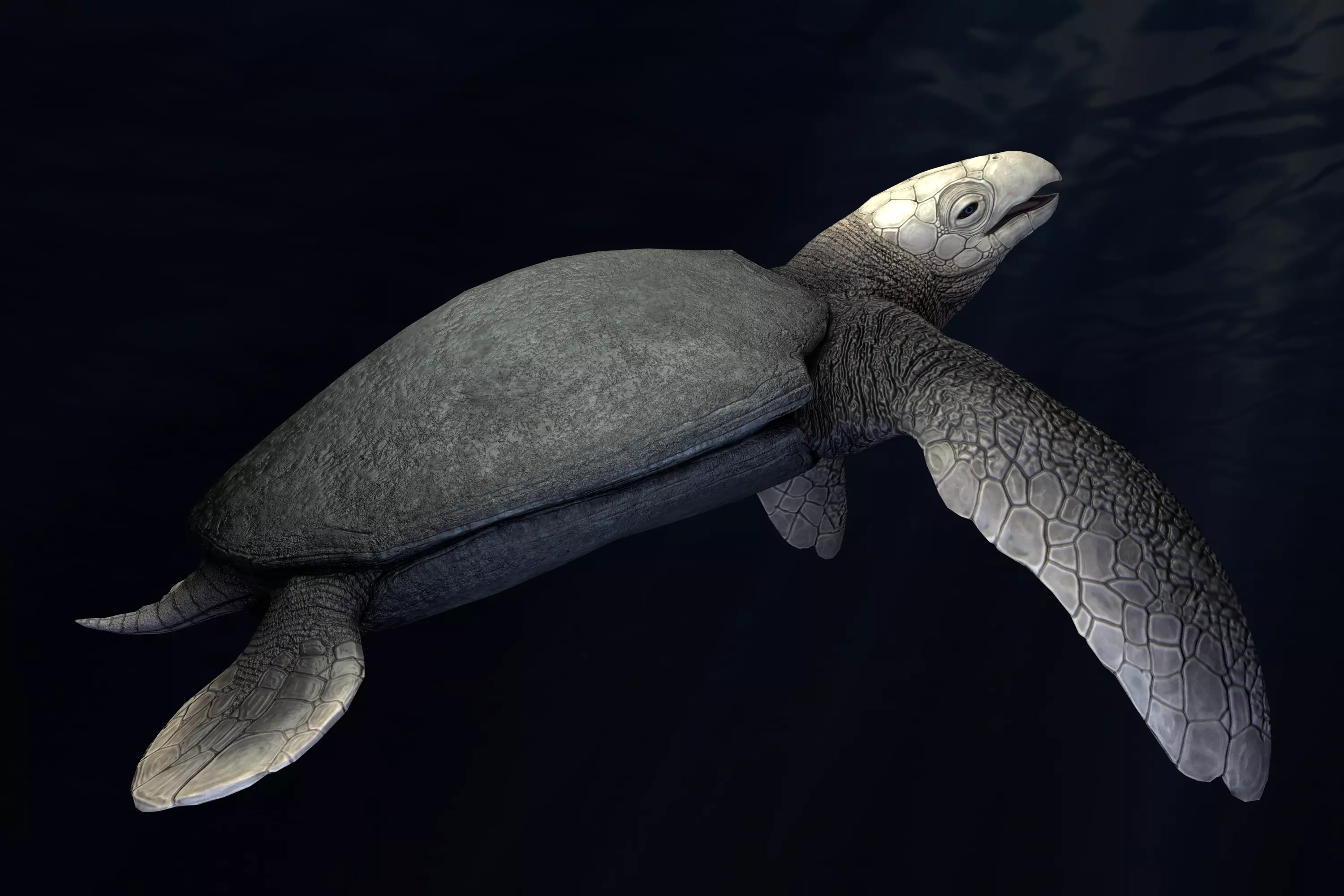 Archelon Asset Pack Low-poly 3D model_0