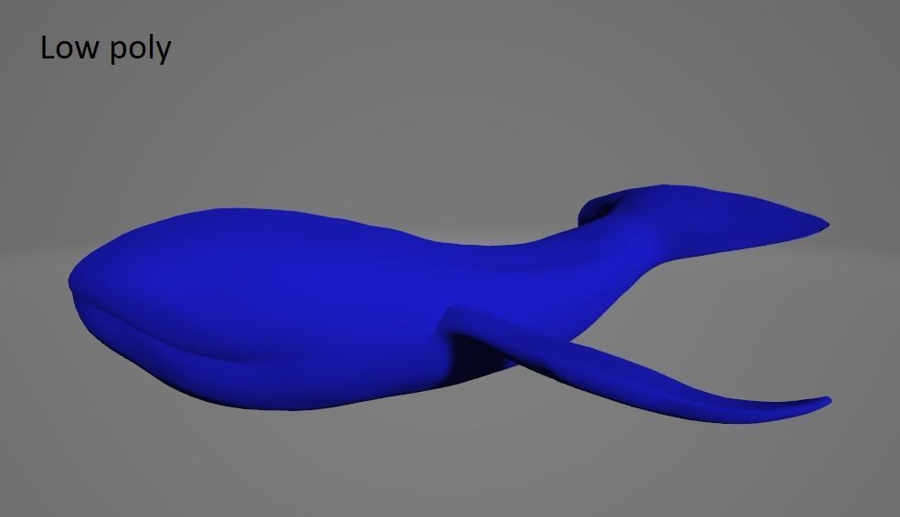 Whale High and Low poly FBX Low-poly 3D model_5
