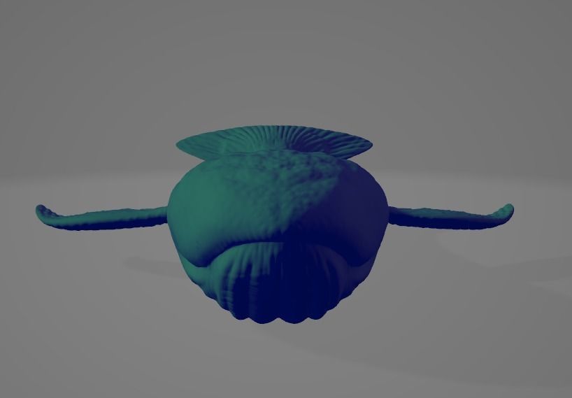 Whale High and Low poly FBX Low-poly 3D model_2