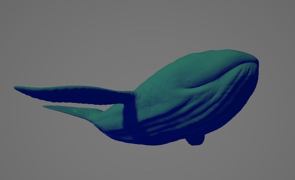 Whale High and Low poly FBX Low-poly 3D model_3