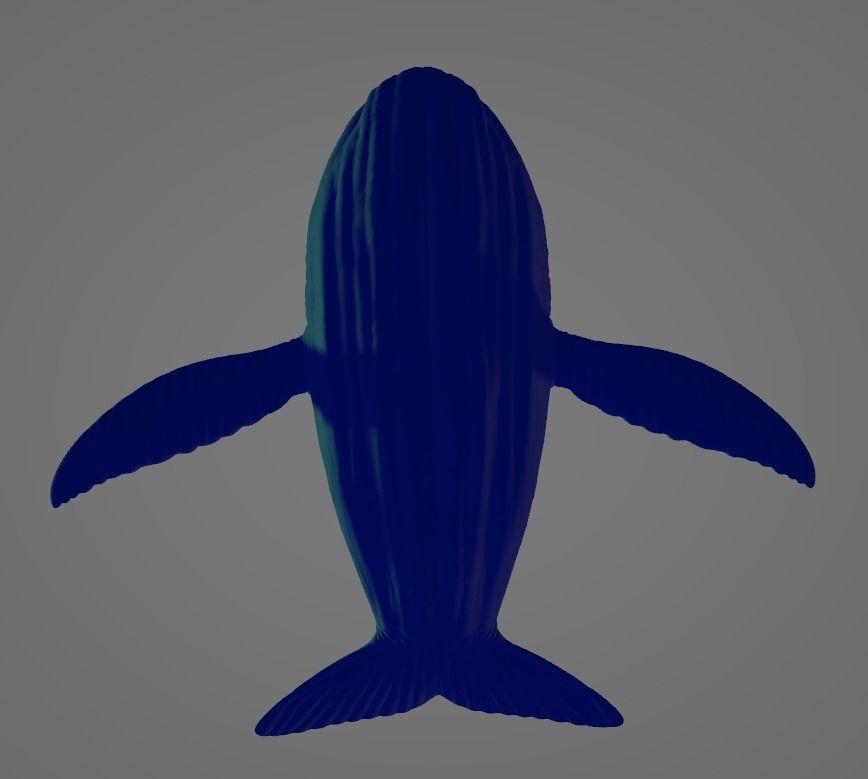 Whale High and Low poly FBX Low-poly 3D model_4