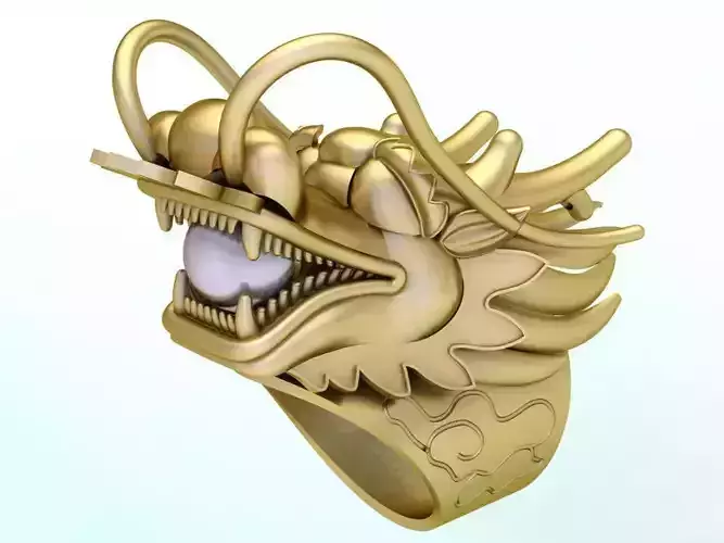 Dragon ring - Mens Ring - N812838