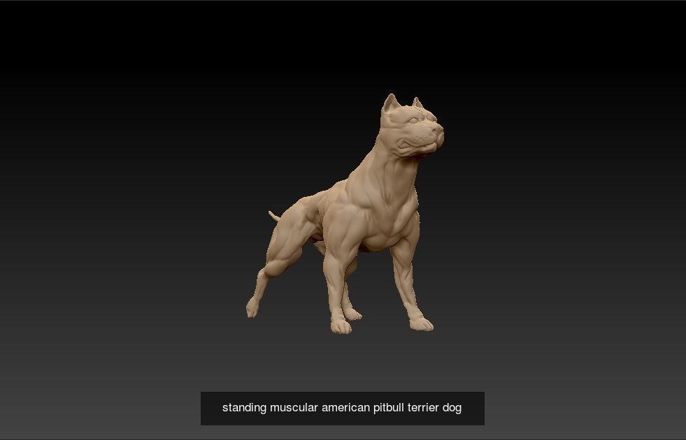 simple guard dog model 3D Model Collection_2